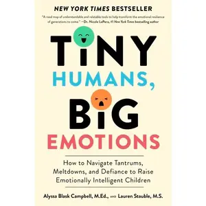 Tiny Humans, Big Emotions: How to Navigate Tantrums, Meltdowns, and Defiance to Raise Emotionally Intelligent Children