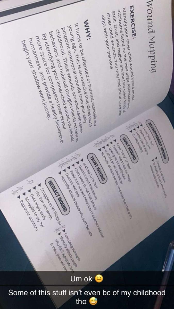 Item: The Shadow Work Journal