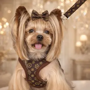 Small Brown Dog Collar and Leash Set – Adjustable Fashion Pet Collar for Small Dogs, Matching Leash Included.