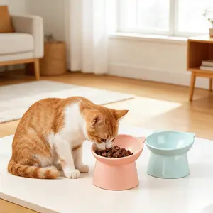Slanted Neck Protection Pet Feeding Bowl, Large Diameter Dog & Cat Bowl, Anti-Tip Design, Customized Elevated Plastic Bowl