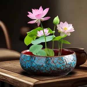 60pcs Mixed Color Bonsai Bowl Lotus Live Plants Pre Sprouted Water Beauties for Indoor Outdoor Aquatic Settings Summer Decor Pre Sprouted Versatile Use Aquatic Beauty Enhance Your Environment
