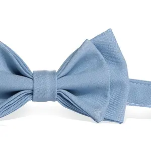 Baby Blue Bow Tie