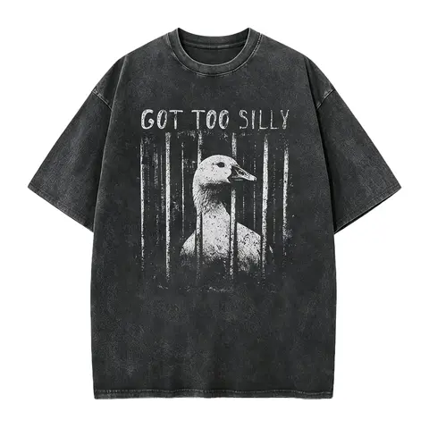 Funny Meme Shirt, Got Too Silly, Oversize, Womens, Mens,