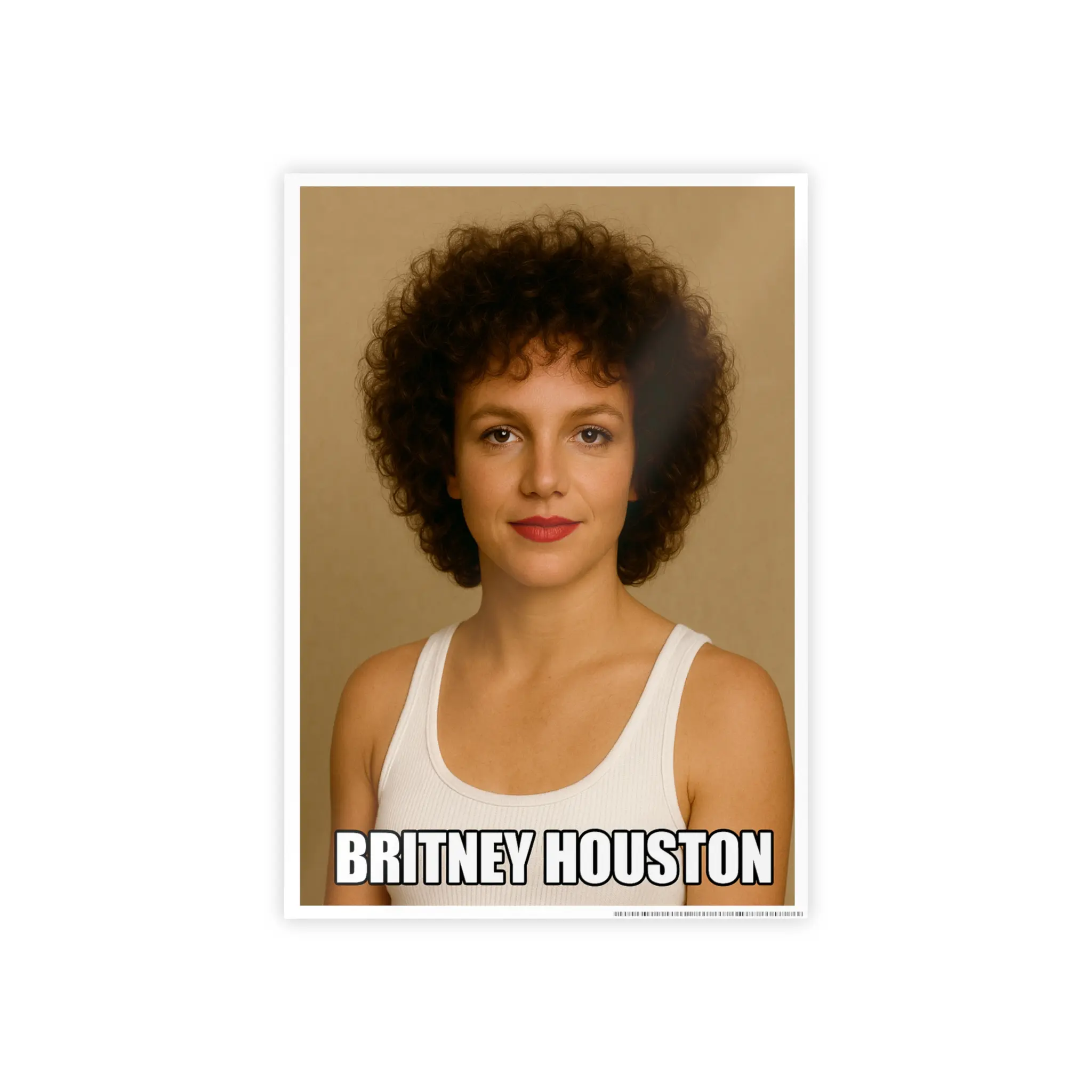 BRITNEY x HOUSTON POSTER
