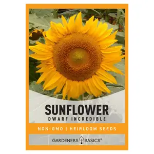 Dwarf Incredible Sunflower Seeds