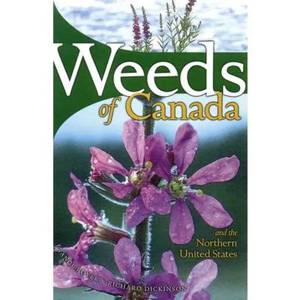 Used Paperback Book - Weeds of Canada and the Northern United States: A Richly Illustrated Identification Guide by France Royer (English) - For Farmers, Landscapers, Gardeners - With Colour Photographs