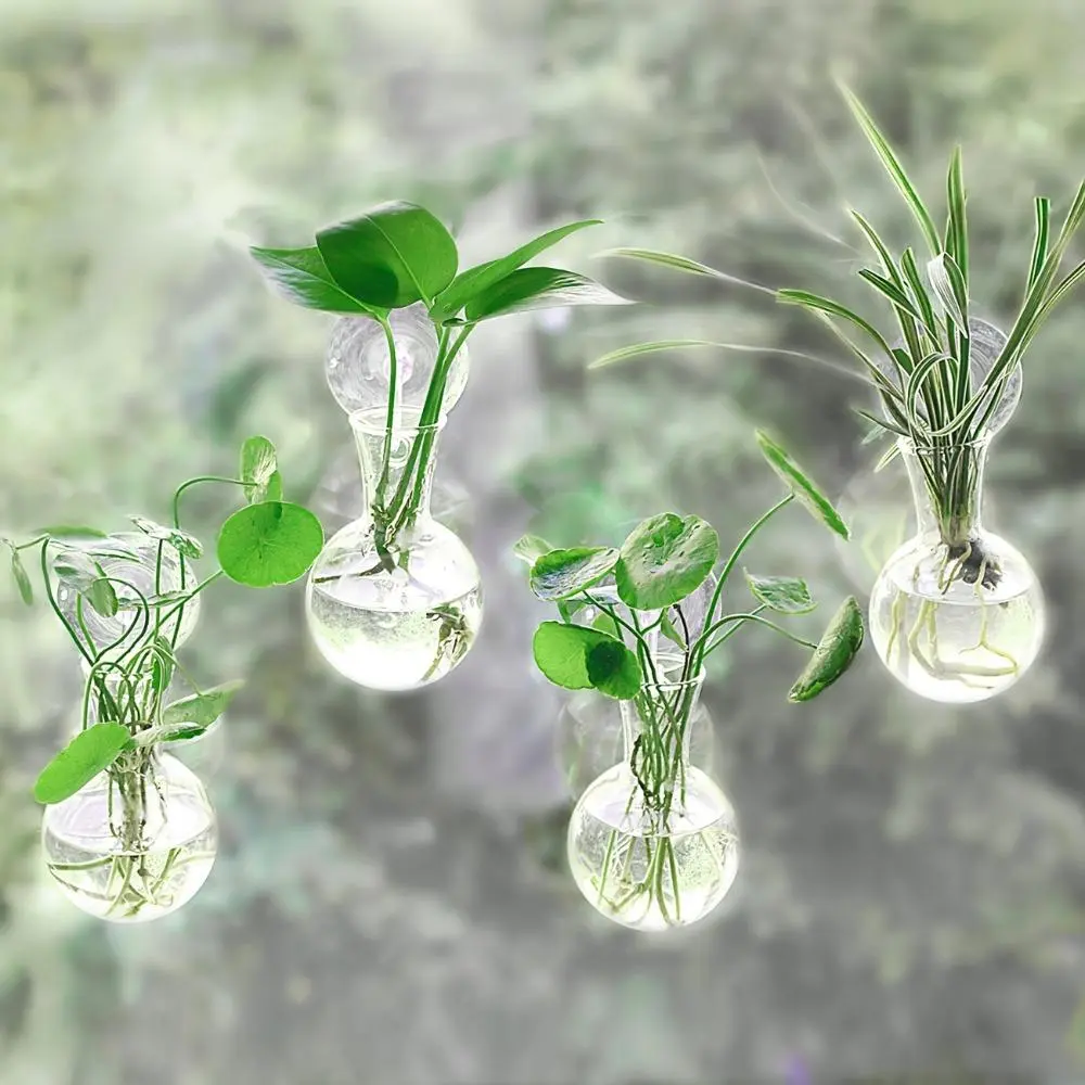 Window Plant Propagation Station, 4 Counts/set Bulb Vase with Suction Cups, Glass Plant Hanging Terrarium, Glass Hydroponics Plant Containers, Office Home Decor, Indoor Planters, Hanging Planters, Plant Holders