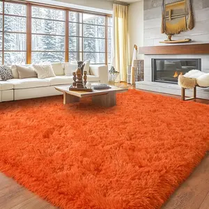 BOOPBEEP Thick Plush Shaggy Area Rug, Large Modern Soft Indoor Carpet for Bedroom Living Room Dorm Dining Room, Non-Slip Comfy Accent Floor Rug Home Decor, Fuze Rug, Ideal Gift for Family and Friends