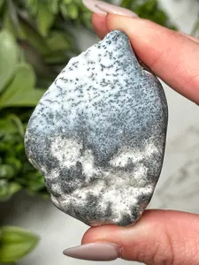 Dendritic Opal Freeform - #12