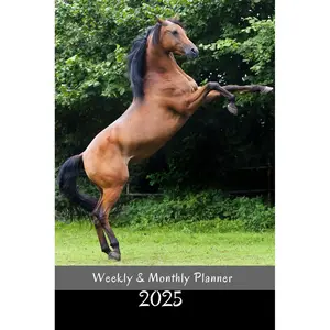 2025 Weekly & Monthly Planner: Arabian Horse Cover, Organizer Diary with Goal Setting, Gratitude Sections, Trackers, Checklists and more Paperback – November 8, 2024