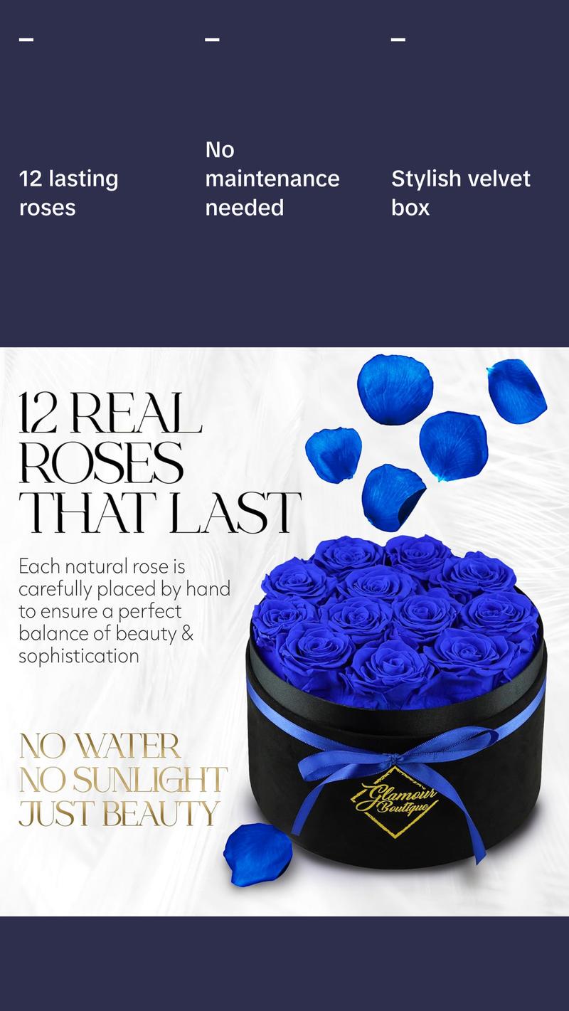 Eternal Prestige Velvet Black | 12 Blue Roses  Decor Box