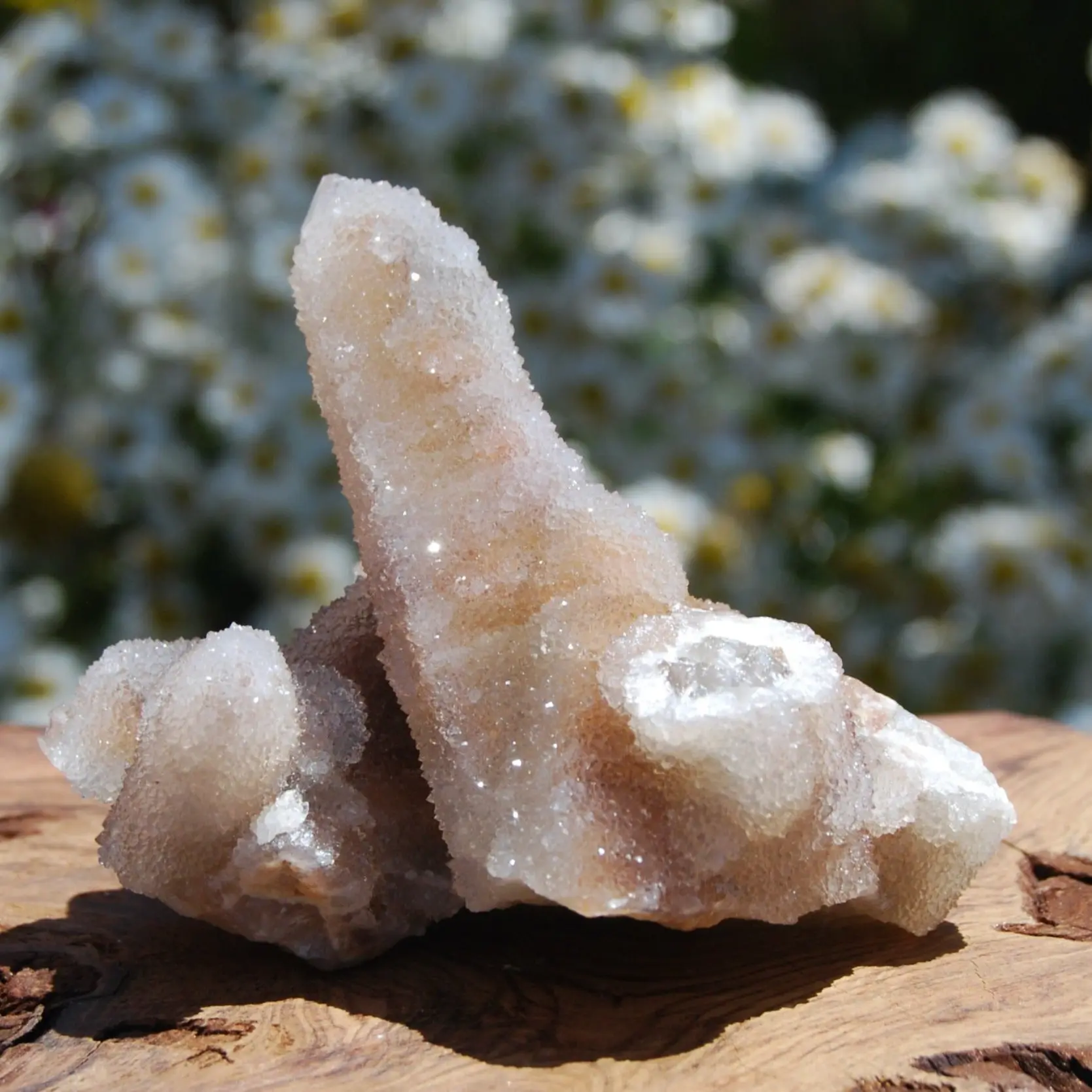 3in 200g Large Fairy Quartz Crystal Cluster, South Africa 1