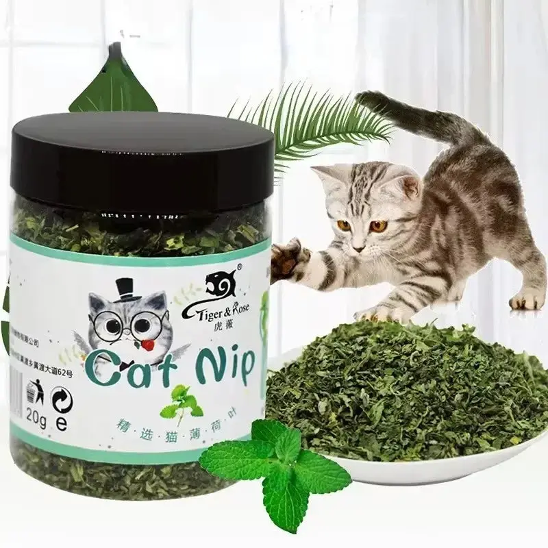 Organic Catnip Toy – Natural Cattle Grass Mint Interactive Toy for Cats