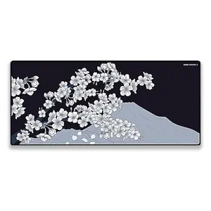 X-Raypad Aqua Control 2 Gaming Mouse Pad, Ultra-High Precision Mouse Pad with Perfect Speed and Control Capability, Consistent X and Y Glide, Designed for Fps Players with Low DPI Requirements