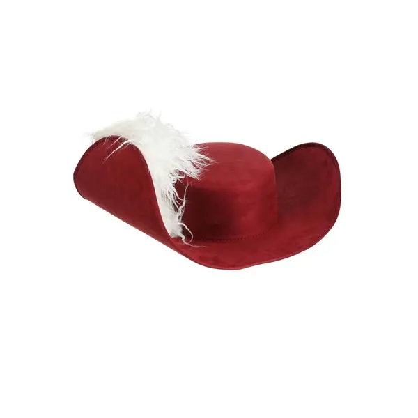 Captain Hook Hat