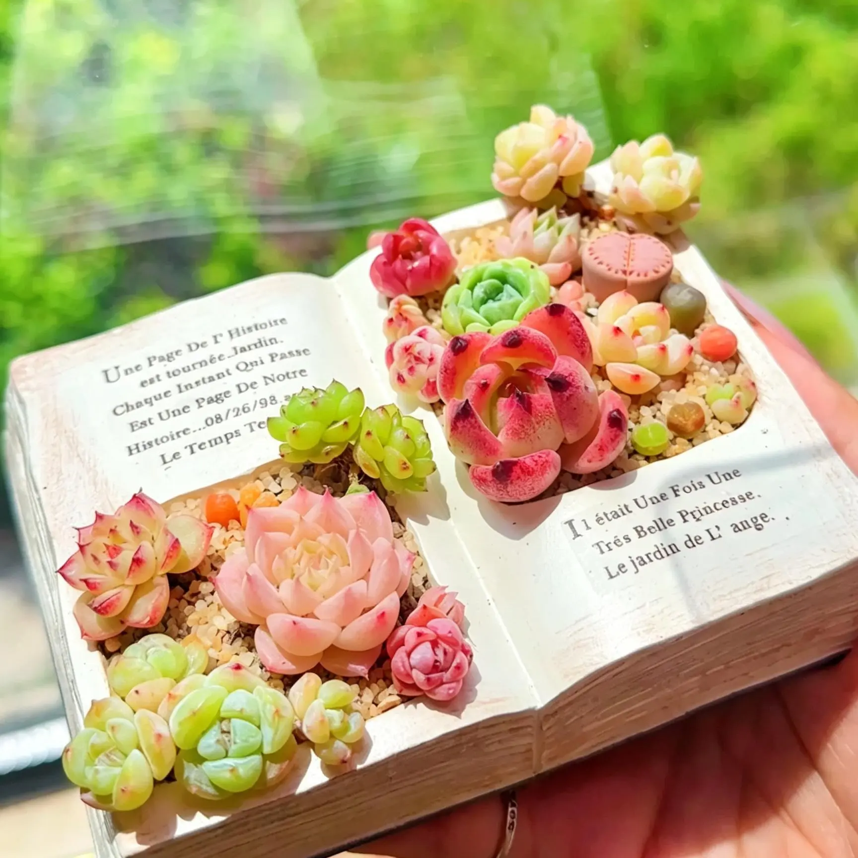12-Pack Random Succulent Set 0.5–1 Inch | 5–6 Assorted Varieties | Live Bare Root Succulent Plants | Colorful DIY Plant Collection