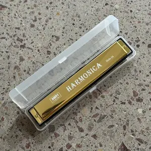 24-hole Harmonica, 1 Count Portable Creative Metal Harmonica with Case, Musical Instrument for Beginners & Professionals