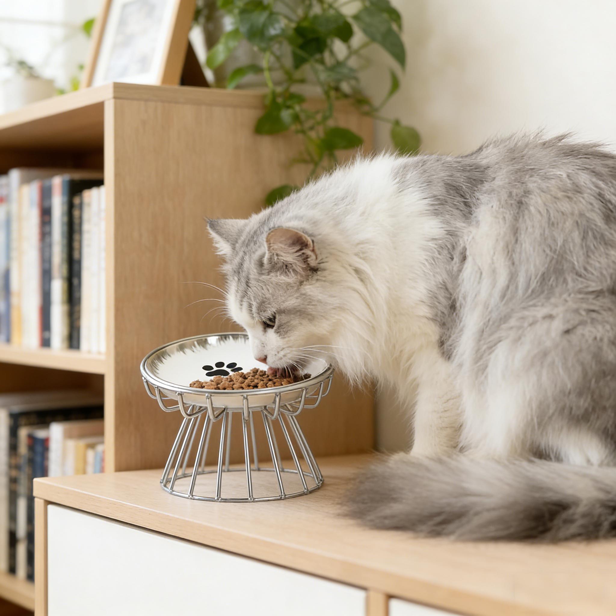 Elevated Cat Bowl,  Raised Ceramic Cat Dish , Whisker Friendly Pet Water or Food Plate Feeding Station for Indoor Cats, Kittens