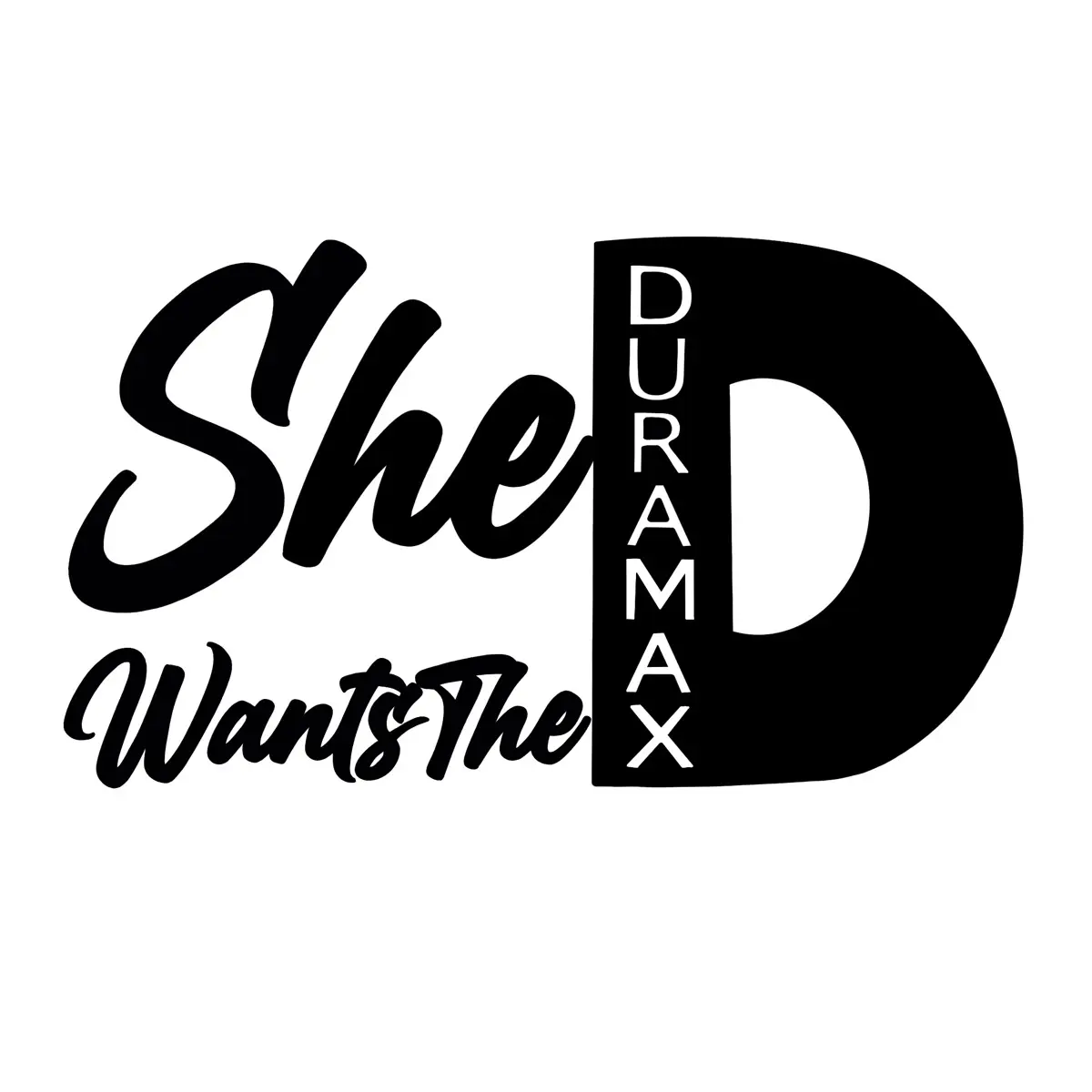 She Wants Car Decal - Large 10X14 custom decal- Personalized Car Sticker