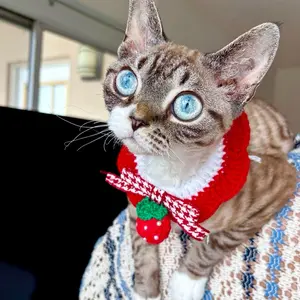 Handmade Crochet Strawberry Collar | Cute Pet Scarf Bib for Cats & Small Dogs