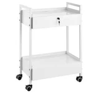 VEVOR Lab Cart,  2 Tiers Stainless Steel Utility Cart, Medical Cart with 2 Drawers, Rolling Lab Cart White Paint, Serving Cart with Swivel Casters for Laboratory, Hospital, Dental, Salon and Beauty