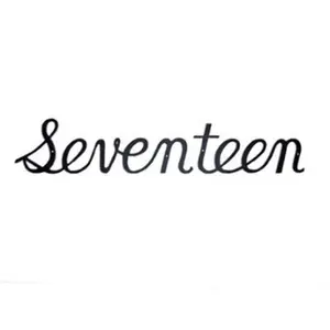 212 MAIN Script Modern Satin Black Aluminium House Number 17 (Montague Metal Products SHN-17) - 5.25w x 5.25h x 0.13d in. Home ID Decor Sign for Home Improvement, Black Metal