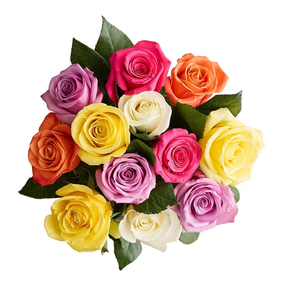 1800 Flowers - 12 Stem Assorted Roses Bouquet Only, Fresh Flowers 1800 Flowers - 12 Stem Assorted Roses Bouquet Only, Fresh Flowers