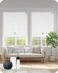 Allesin Motorized Blinds with Remote Smart Blackout Roller Shades | All-in-One & Ultra-Quiet Automatic Electric Power Blinds for Home Office