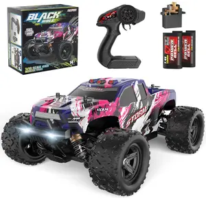 Black Hole 2.4GHz High-Speed Vehicle 4x4 Scale 36 kph RC Car with Remote Control & Batteries A1