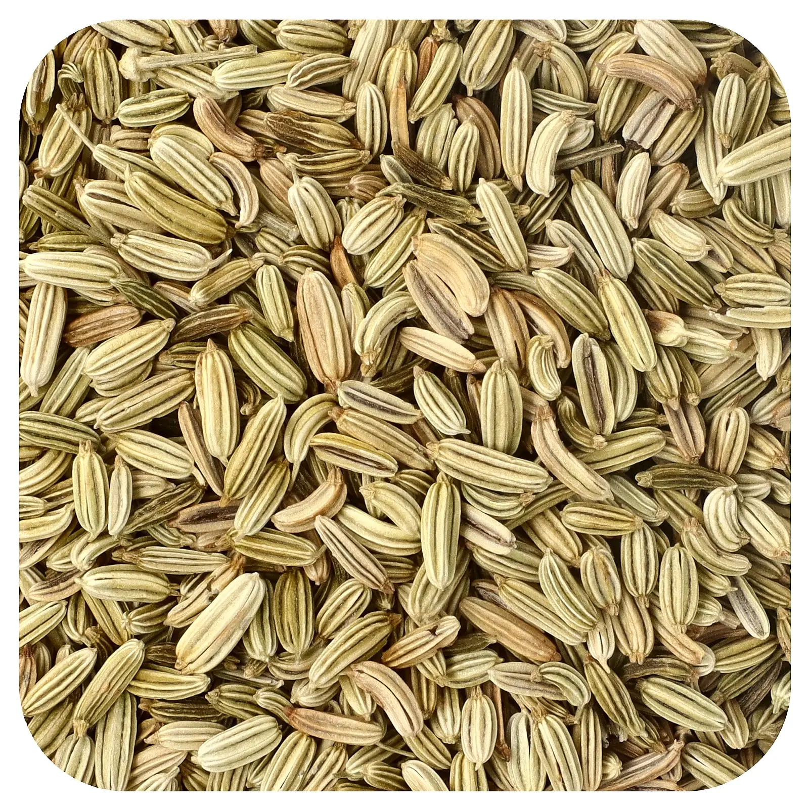 Frontier Co-op Organic Whole Fennel Seed, 16 oz (453 g) Frontier Co-op Organic Whole Fennel Seed, 16 oz (453 g)