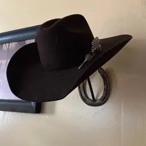 Horse shoe hat rack
