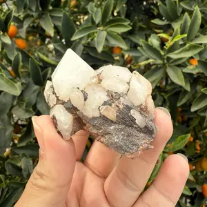 Raw Quartz Crystal Cluster with Old skin- Natural Healing Stone, Unique Formation, Perfect for Collectors and Decor
