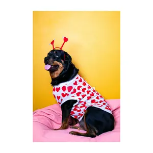 Dottie Valentine's Post Card