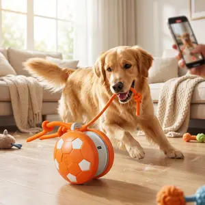 USB Rechargeable Smart Rolling Ball Toy with LED Lights for Dogs & Cats Interactive Pet Exercise Toy for Indoor & Outdoor Fun