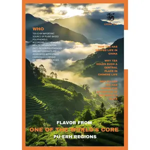 LOONG TEA(Pu-erh Tea from Ancient Tea Trees of Yunnan)