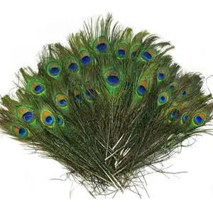 Beautiful  Peacock Feathers Eye Peacock Tail Feathers 10"-12" Pack of 20 count