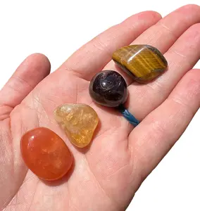 Leo Zodiac Crystal Set - Tumbled Leo Zodiac Crystals Metaphysical crystals - Astrology Gifts - Citrine, Carnelian, Tigers Eye, Garnet