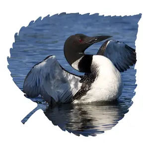 Blue Loon Aspen Leaf Wall Art