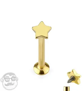 16G PVD Gold Star Top Internally Threaded Flat Back Steel Post
