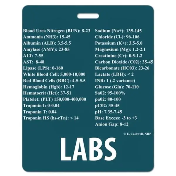 Lab Badge Buddy Lab Badge Buddy