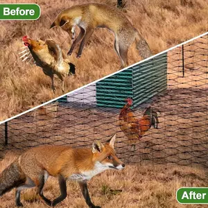 Garden Bird Netting, Large Reusable Breathable Cover, Suitable for Vegetables Fruits Plants, Durable Animal Insect Barrier