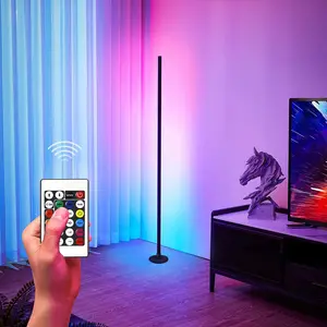 EISSLOLY LED RGBIC corner floor lamp, RGB+IC music synchronized DIY mode, remote control, USB power supply, with color changing and colorful functions, suitable for living room and bedroom, game room decoration, living room floor lamp