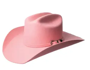 Tailor Hat "The Rider" Blush Wool Cowboy Hat