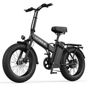 Aairsk F1pro Adult Electric Bike 20 Inch 4.0 Tires 48V15Ah 7 Speed Shimano Gear With Rear Rack & Large Light Christmas Edition