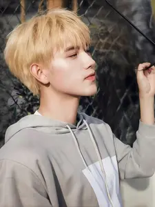 Men's Short Fashion Wig With Bangs, Fluffy Realistic Synthetic Hair, Perfect for Daily Wear, Birthday Parties, Cosplay, Carnival, Wedding, Concerts