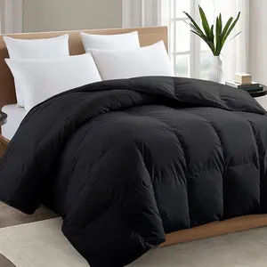 2100 Series Queen Comforter All Season Breathable Black Comforter Soft 4D Spiral Fiber Quilted Down Alternative Duvet Insert with Corner Tabs Luxury Hotel Style (88"x88")