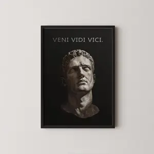 Veni Vidi Vici - Julius Caesar Wall Art
