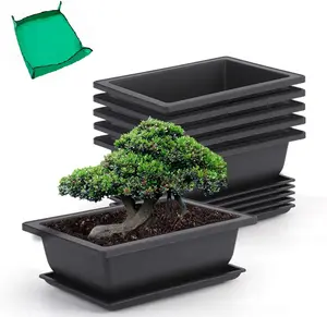 6-Pack 9 Inch Bonsai Pots with Drainage & Humidity Trays