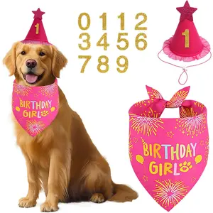 Dog Birthday Decorations Rose Pink, Dog Birthday Party Supplies with Hat Bandana Numbers for Large Medium Girl Pets Puppy