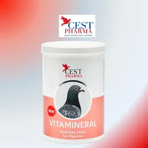 Cest Pharma vitamineral  1 kg polvo para palomas